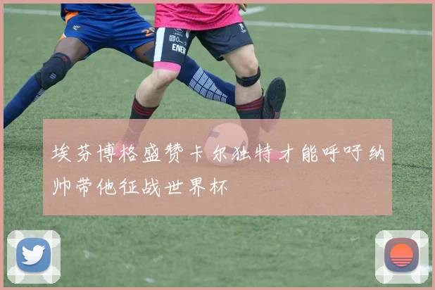 埃芬博格盛赞卡尔独特才能呼吁纳帅带他征战世界杯
