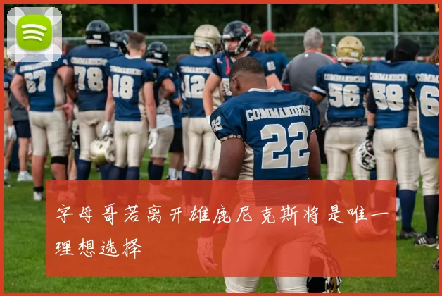 字母哥若离开雄鹿尼克斯将是唯一理想选择