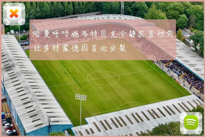 哈曼呼吁施洛特贝克冷静发言切勿让多特蒙德因言论分裂